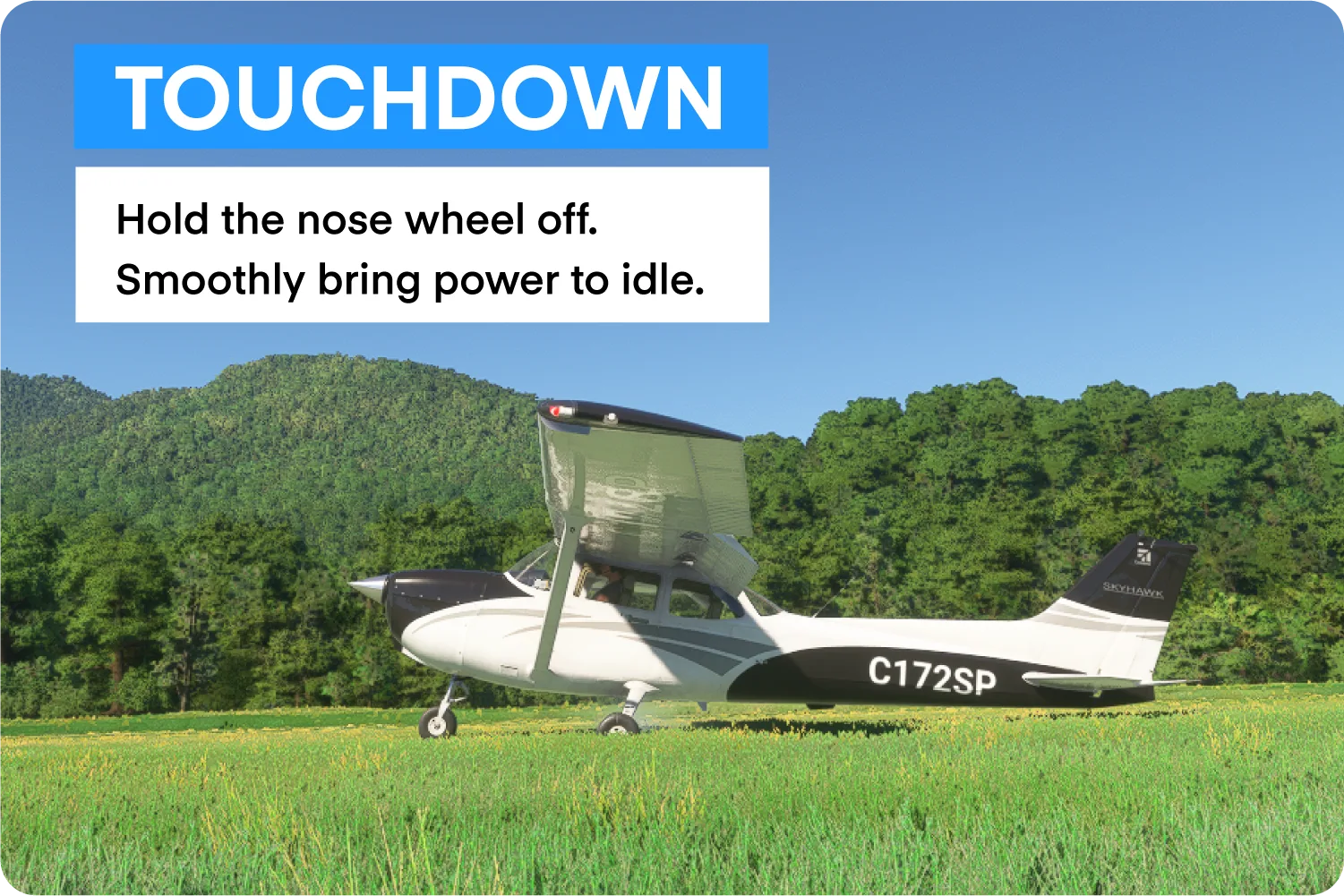 Aircraft touching down on grass runway.