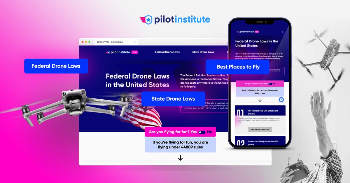 pilotinstitute.com