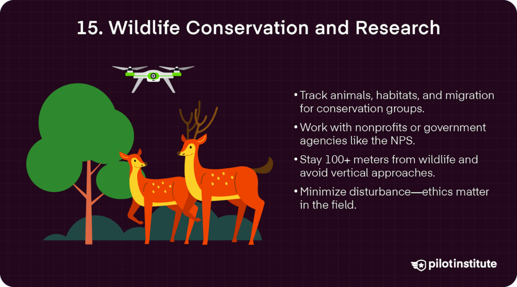 Drone flying above two deer in a forest with text explaining wildlife conservation uses such as tracking animals and minimizing disturbance.