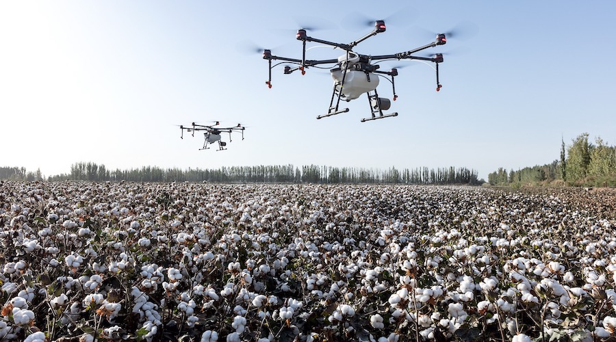 How Are Drones Being Used in Agriculture?