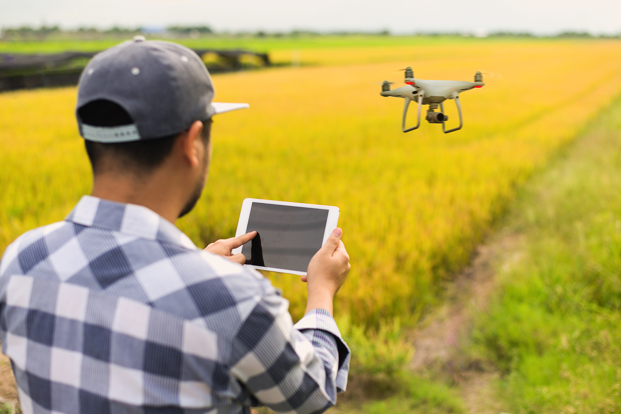 7 Aerial Inspection Jobs That Drones Can Do Pilot Institute