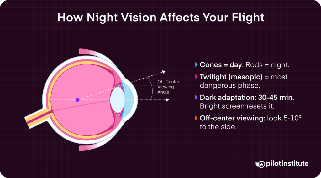 Night vision physiology diagram showing cross-section of an eye with off-center viewing angle technique, covering dark adaptation time and mesopic vision.