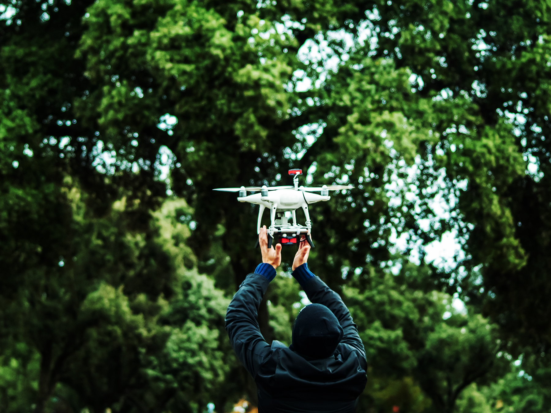 Flying drones in national hot sale forests