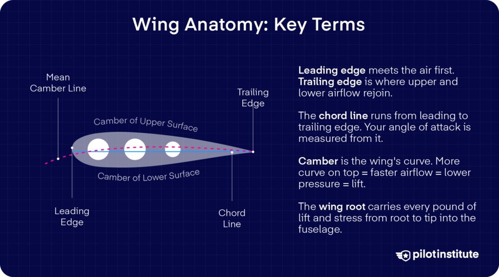 Airfoil cross-section diagram labeling the leading edge, trailing edge, chord line, mean camber line, and upper and lower camber. Pilot Institute.