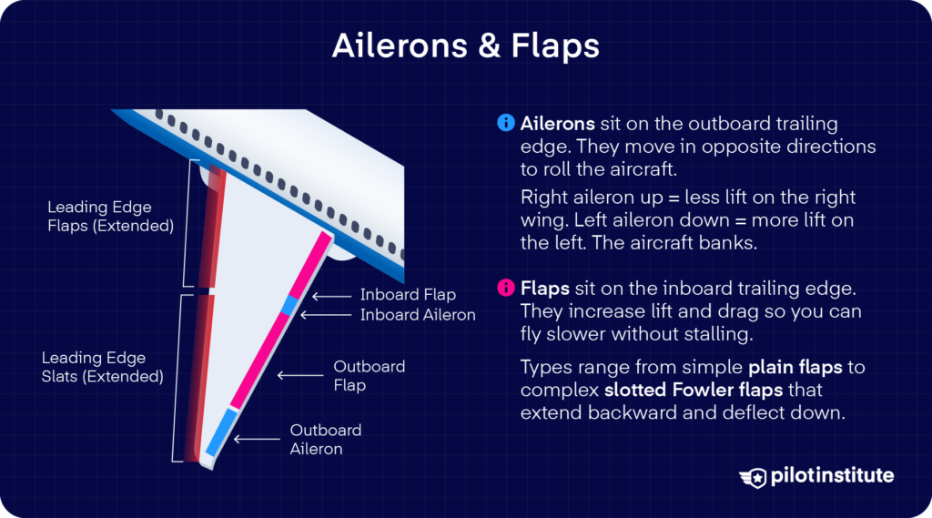 Wing diagram showing ailerons and flaps on the trailing edge and slats on the leading edge, explaining how ailerons roll the aircraft. Pilot Institute.