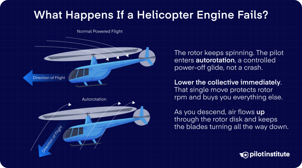 Diagram comparing airflow through the rotor disk in normal powered flight versus autorotation — Pilot Institute