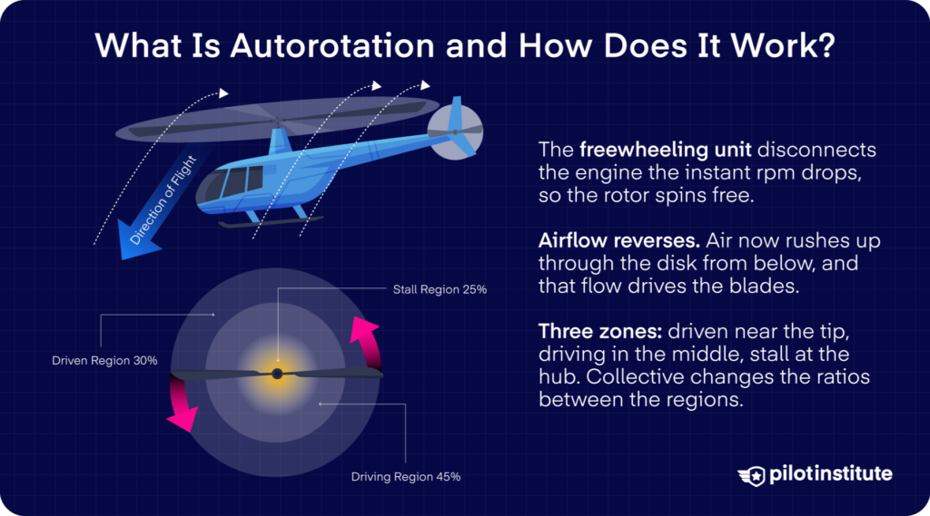 Autorotation infographic showing the driven, driving, and stall regions of the rotor disk in vertical autorotation — Pilot Institute
