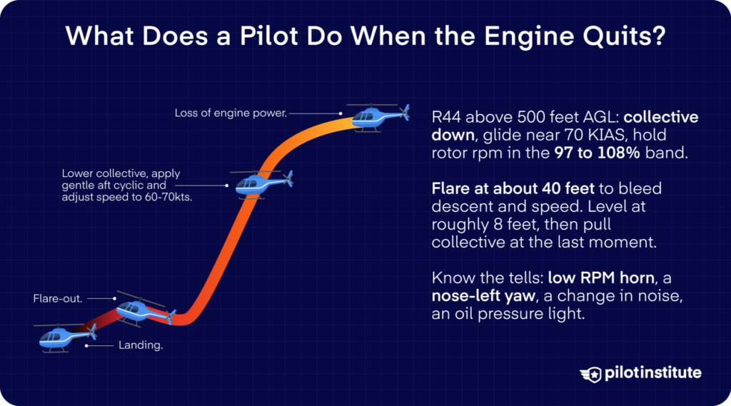Helicopter engine failure procedure infographic showing collective down, glide, flare, and cushioned touchdown — Pilot Institute