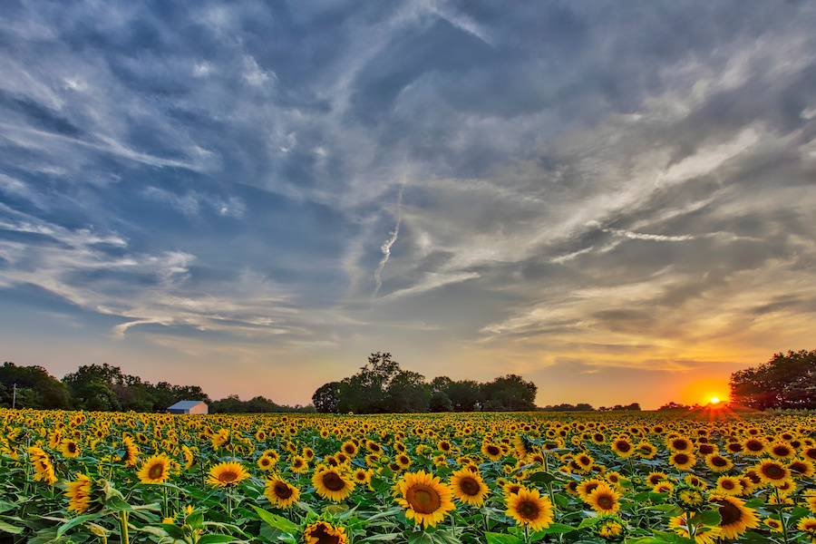 Drone Laws in Kansas (2023) Pilot Institute