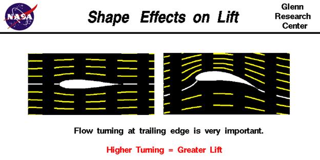 Shape effects on lift