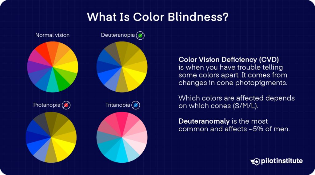 Four color wheel graphics showing normal vision and three types of color blindness (protanopia, deuteranopia, tritanopia) with text explaining color vision deficiency and its prevalence.