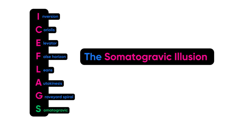 ICEFLAGS Diagram Somatogravic
