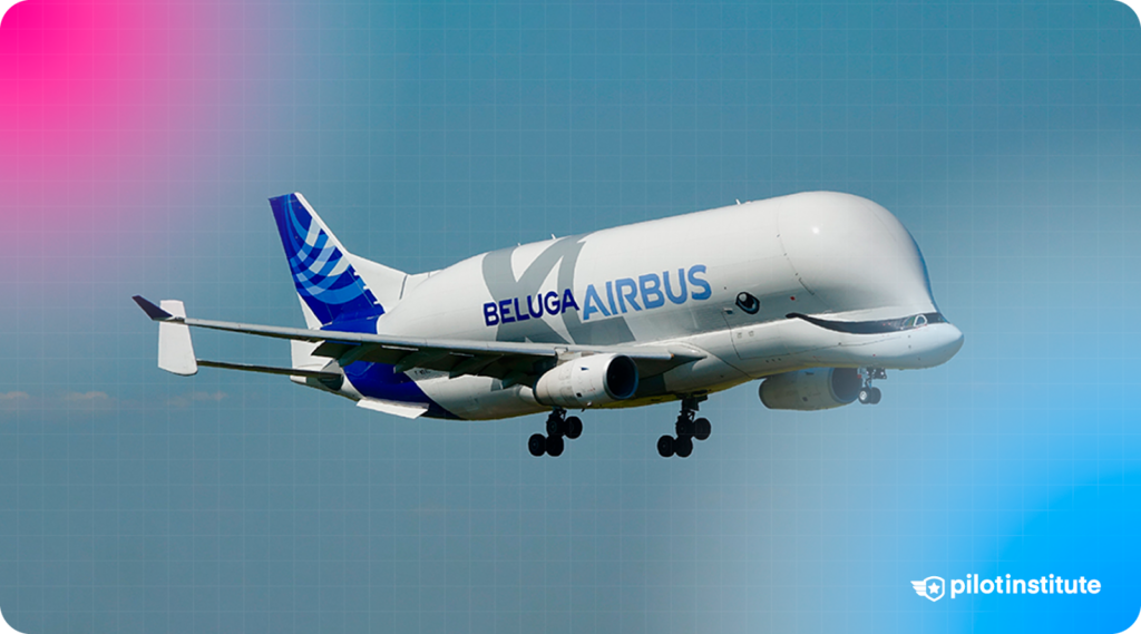 Photo of the Airbus Beluga XL happily in the sky.