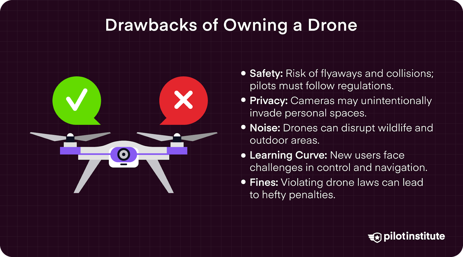 Is Buying a Drone Worth It in 2025? (Business and Hobby) - Pilot Institute
