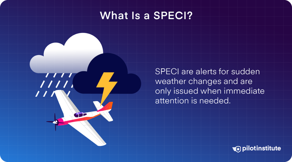 Illustration of a plane near storm clouds, explaining that a SPECI is an alert for sudden weather changes requiring immediate attention. Includes Pilot Institute logo.