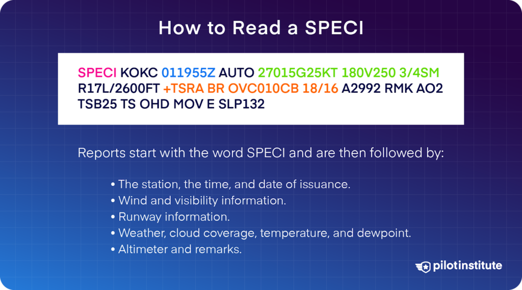 Illustration showing how to read a SPECI report with color-coded elements and bullet points, Pilot Institute logo.