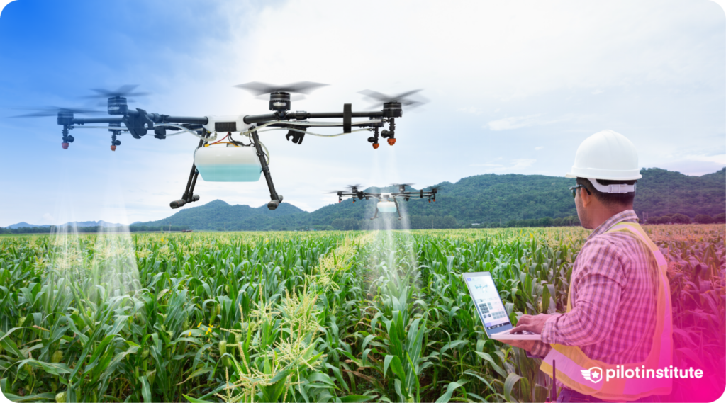 A worker monitors agricultural drones flying over a cornfield, spraying or mapping crops using advanced aerial technology.