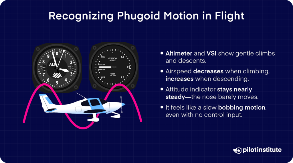 Infographic showing flight instruments and a small aircraft demonstrating phugoid motion, with key signs like steady pitch, changing airspeed, and a bobbing feel in flight.