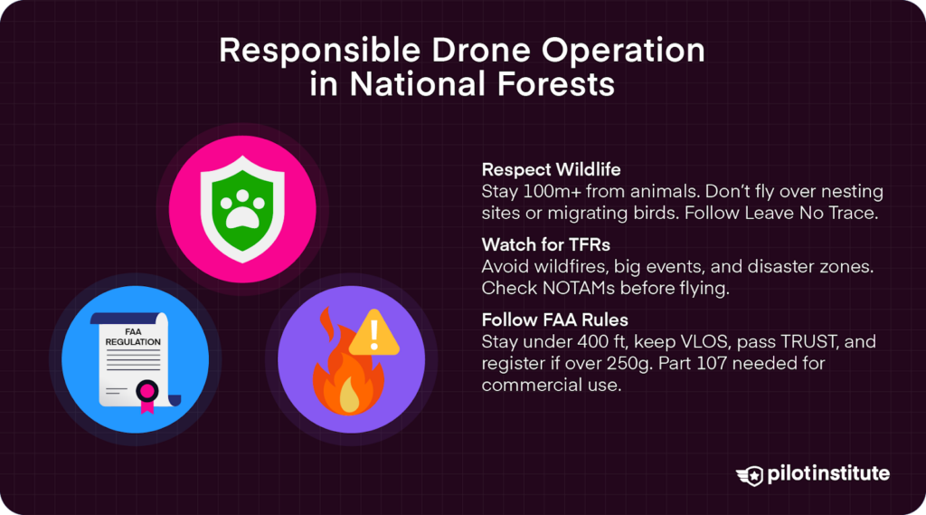 Graphic outlining responsible drone operation in national forests, including tips on wildlife protection, checking TFRs and NOTAMs, and following FAA rules such as registration, VLOS, and TRUST.