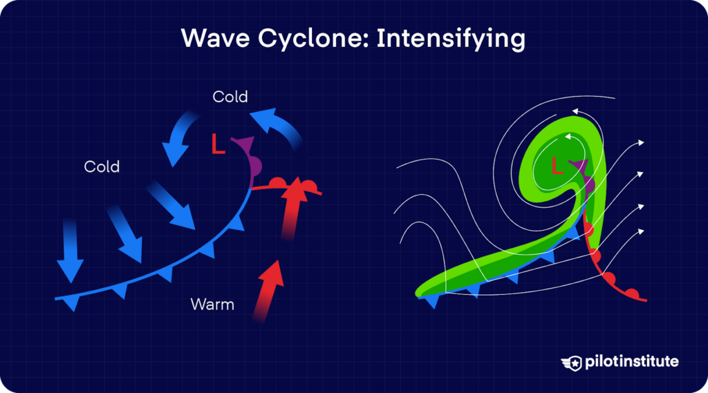 Diagram showing an intensifying wave cyclone with strengthening low pressure, developing occlusion, and spiraling wind flow.