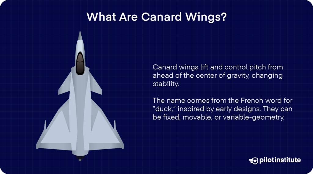 Top-down vector illustration of a fighter jet with canard wings, alongside text explaining that canards provide lift and pitch control from ahead of the center of gravity and originate from the French word for 'duck'.