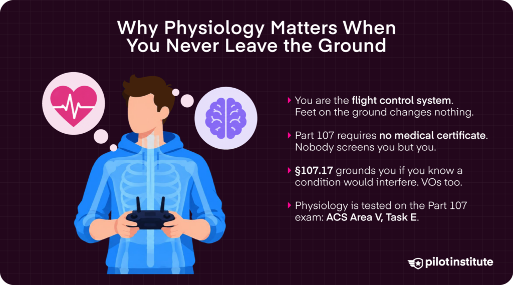 Drone pilot physiology infographic showing Part 107 medical rules, §107.17, and ACS Area V Task E — Pilot Institute